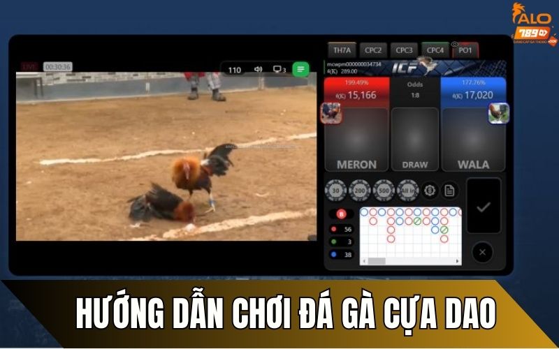 Hướng dẫn cách chơi đá gà cựa dao chi tiết tại ALO789
